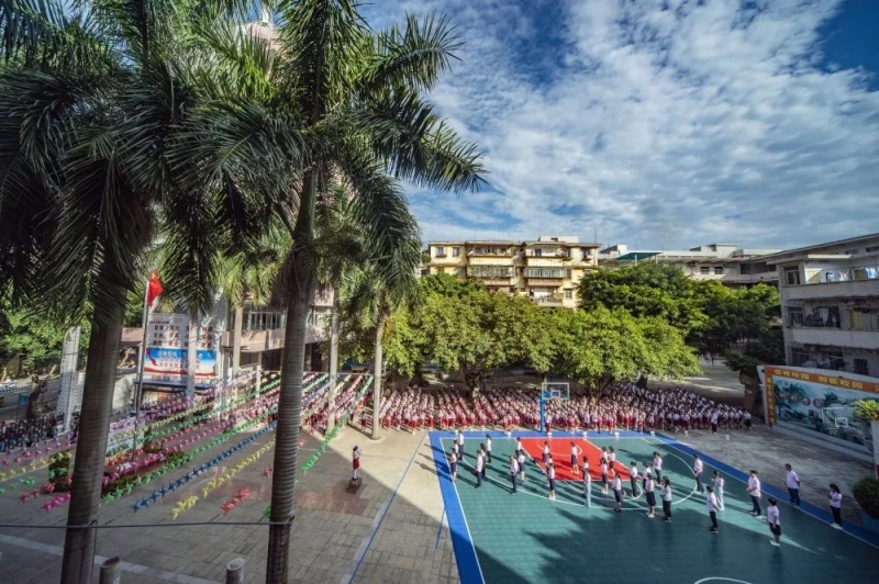 赤坎区2024年小学招生方案出炉，这所学校再次成为关注焦点