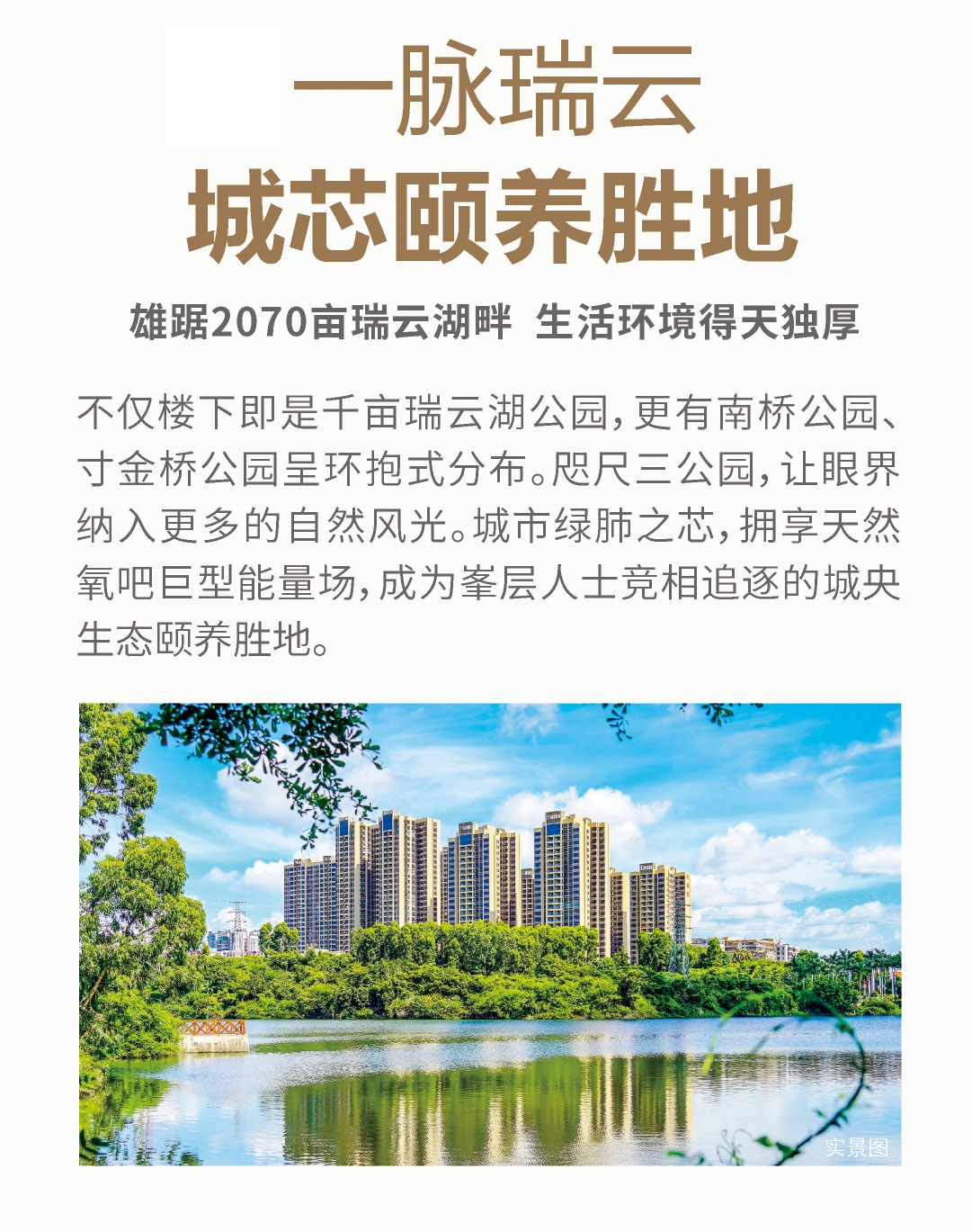赤坎区2024年小学招生方案出炉，这所学校再次成为关注焦点