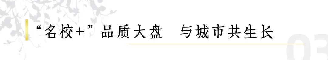破局！省实落地，西城新区发展再进阶！